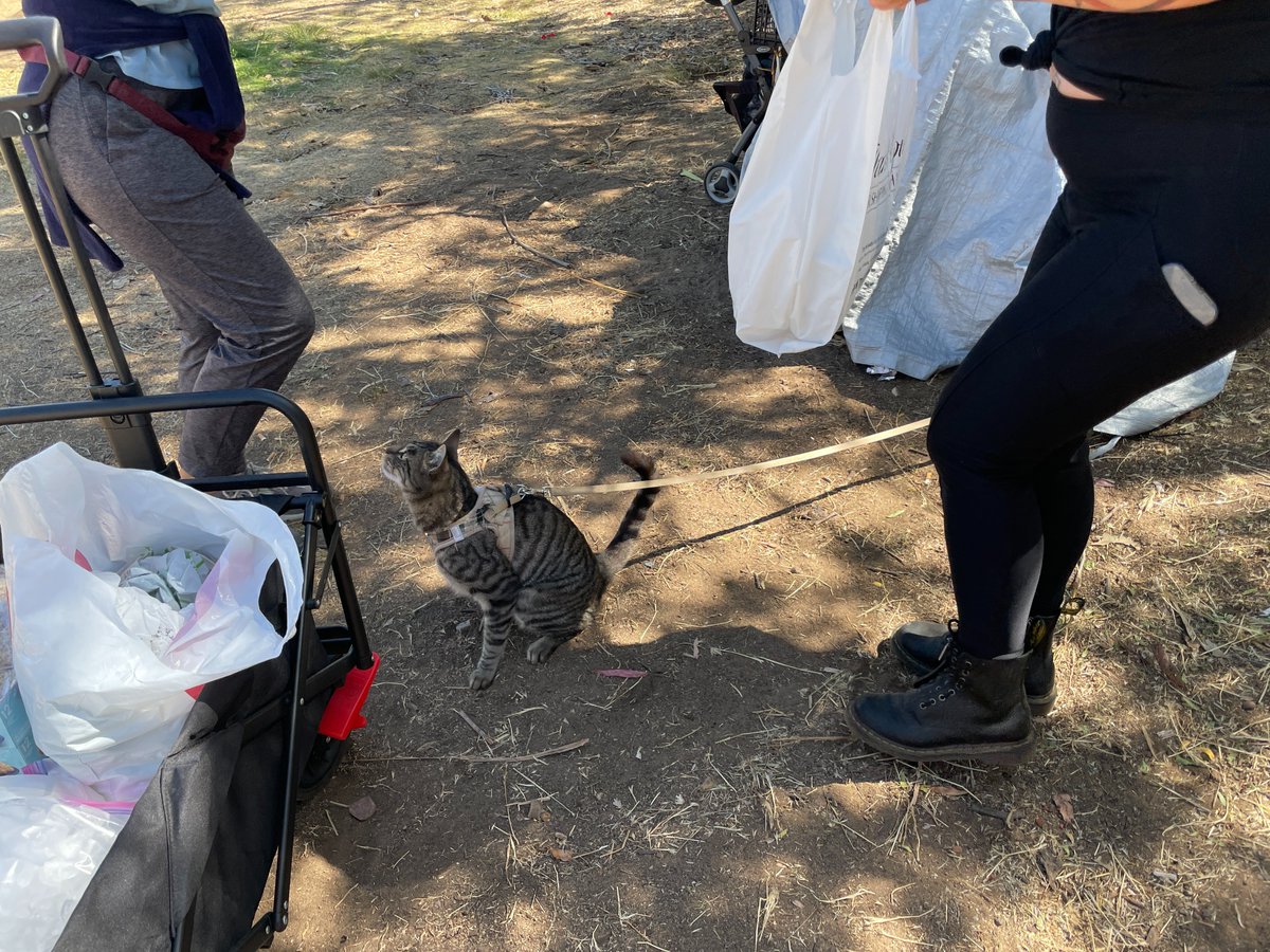 LoriSaldanaSD's tweet photo. This is exactly what @Cutecooper2 @janis_wilds @HomelessnessSD and many other volunteers do every day.
Imagine if this basic relief activity had actual funding &amp; support from #SanDiegoCounty &amp; #CityofSanDiego!
 #MayorToddGloria  #SupFletcher https://t.co/7Y7DOwG2yn
