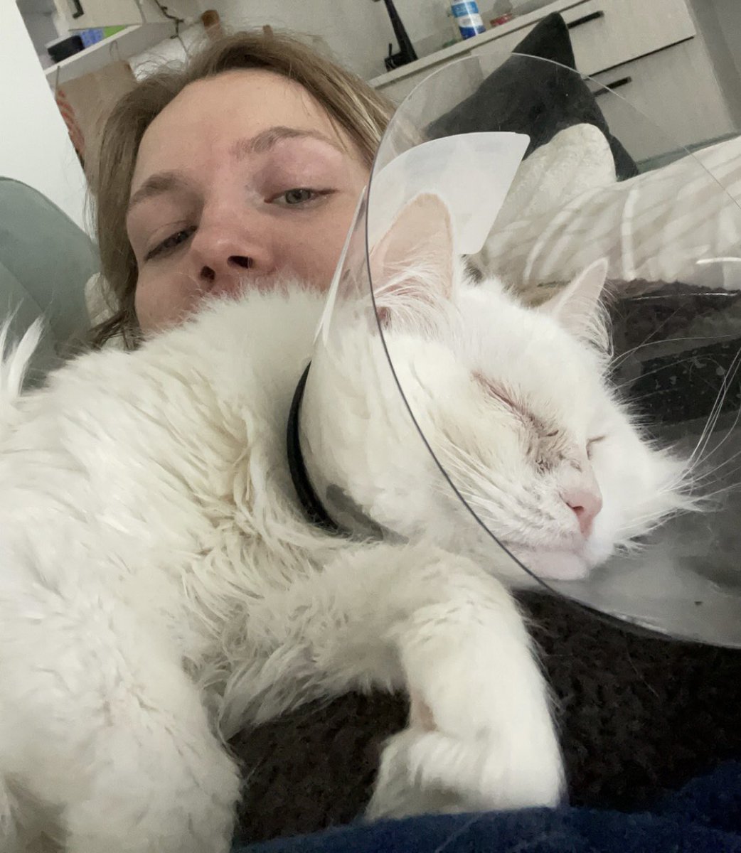 stabmegently's tweet photo. I feel so bad for her but I can’t help but giggle a little https://t.co/NnldDAgIfs