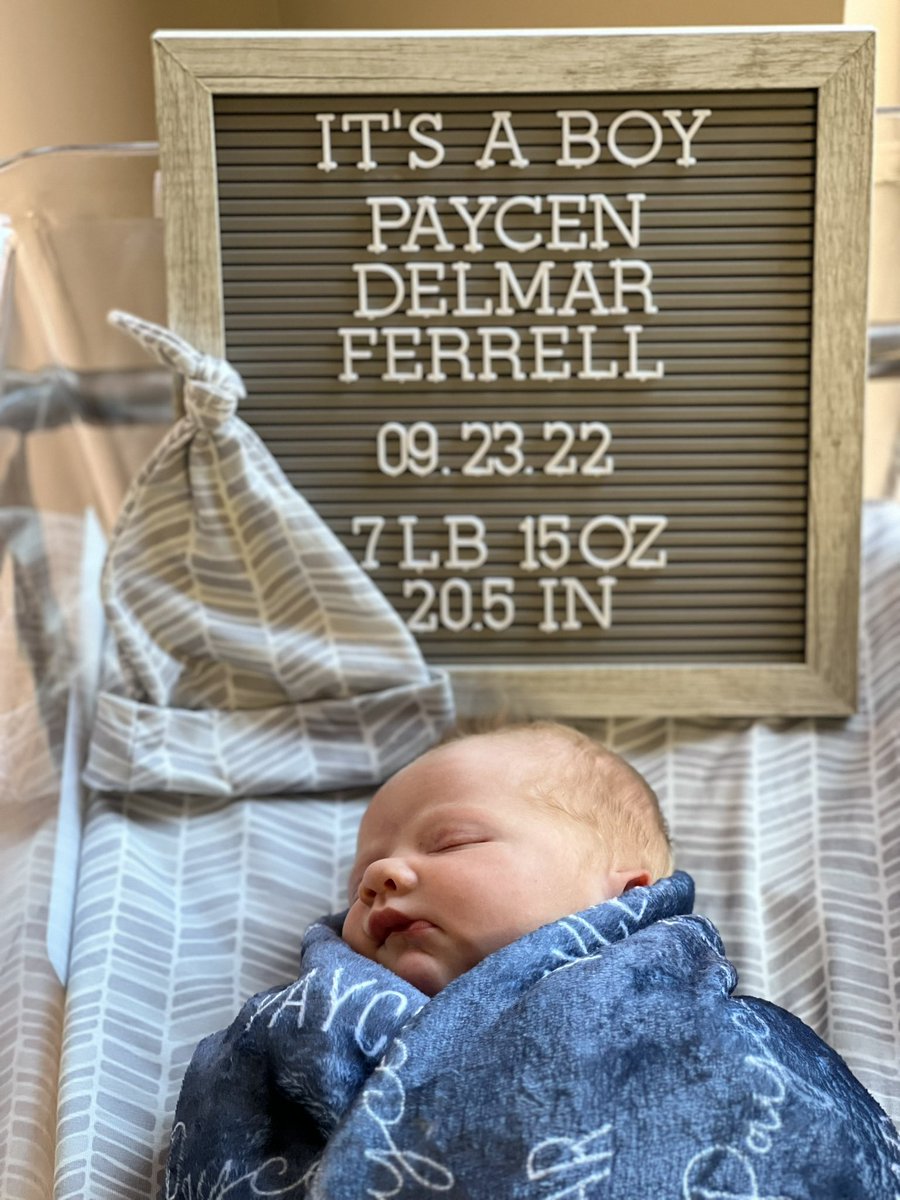 Josh Ferrell tweet media