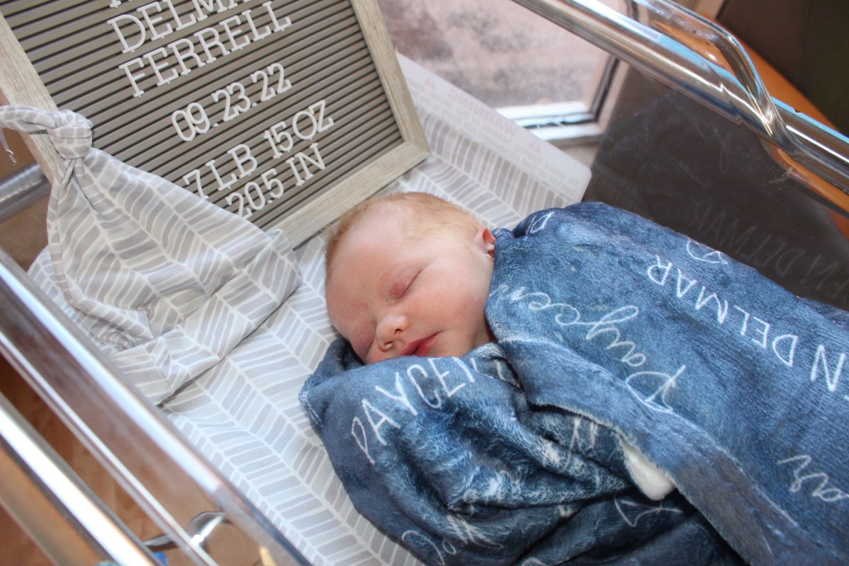 Josh Ferrell tweet media