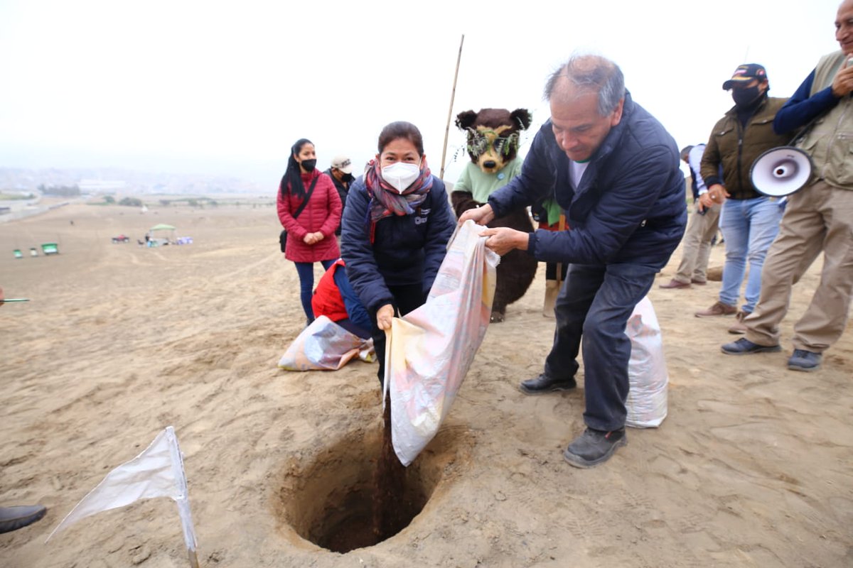 MinamPeru's tweet photo. 📢 @Wilbert_rozas convocó a más voluntarios para el sembrado de árboles y reafirmó el compromiso del Minam de forestar las lomas costeras. "#TierraSoloHayUna 🌎 y tenemos la responsabilidad de cuidarla". https://t.co/fBRbStgeAx