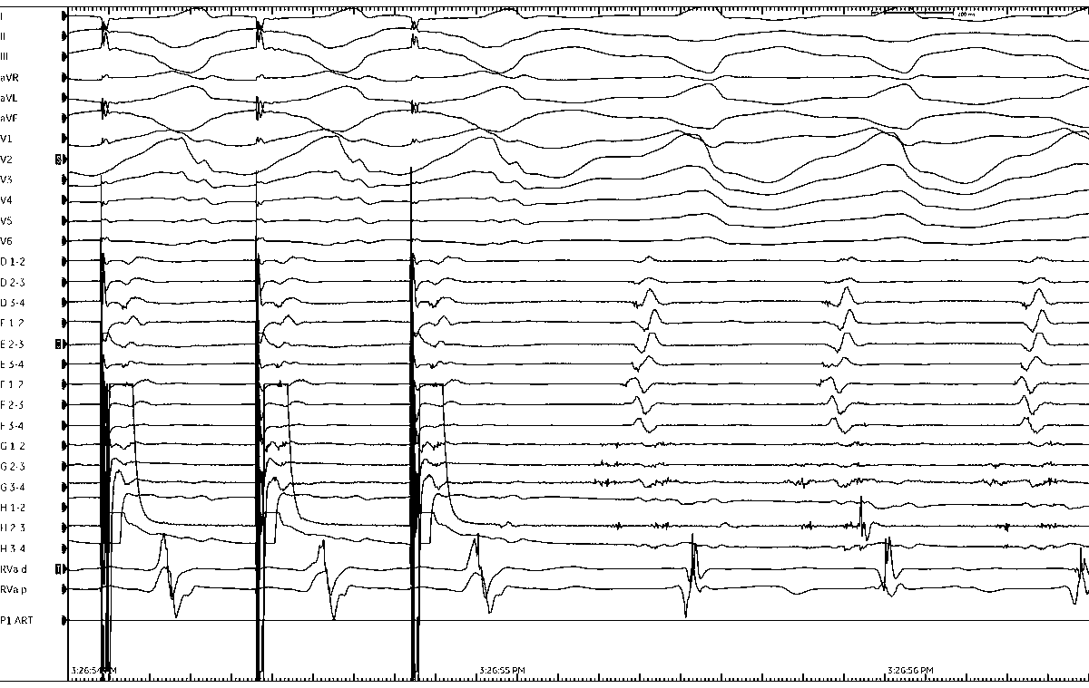 Edward Gerstenfeld tweet media