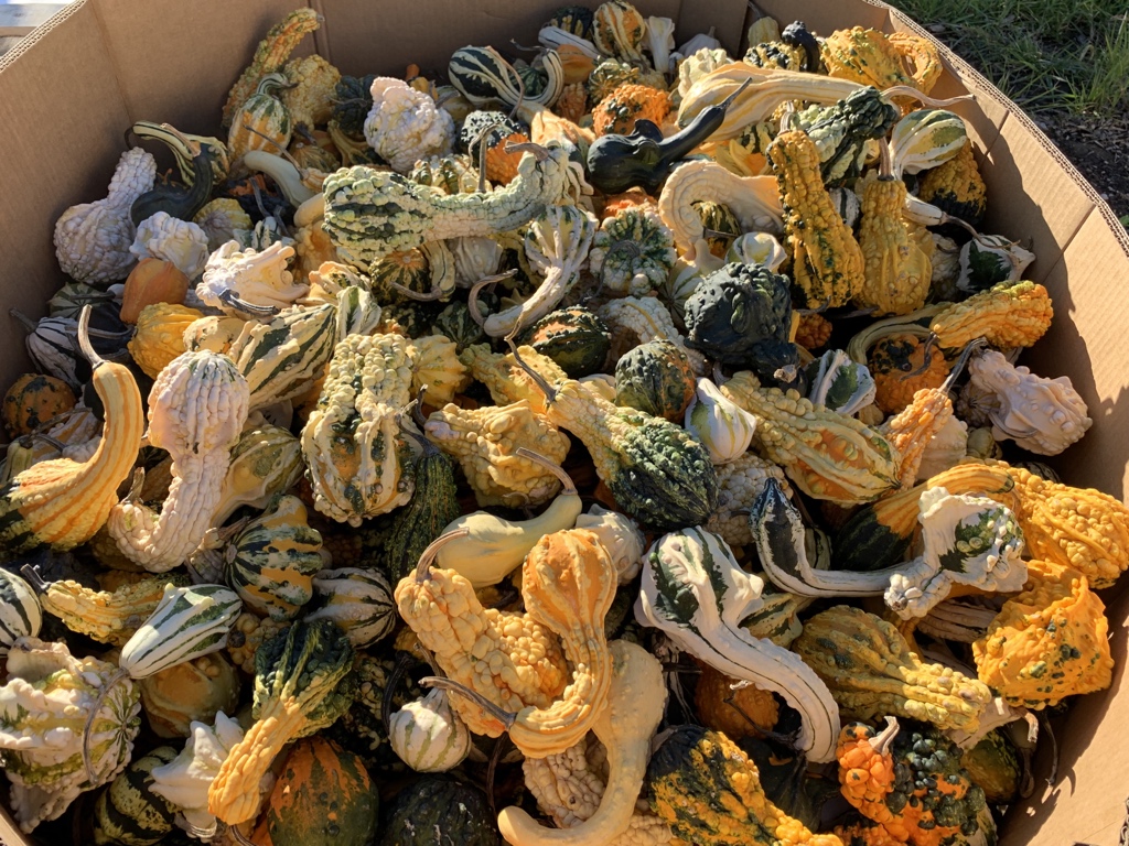 Zach Chadwick tweet media