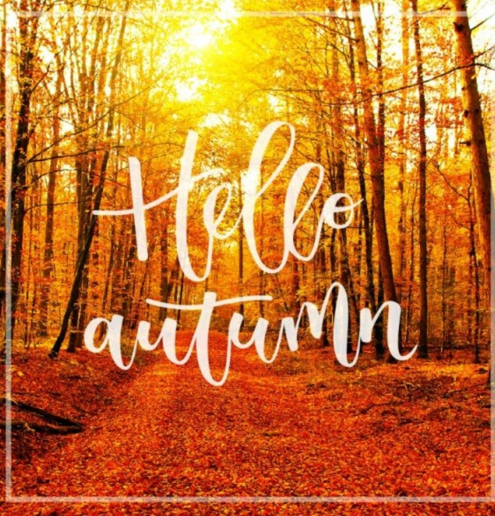 SlopeSidePreRol's tweet photo. Welcome to a new season! Get your supply of #slopesideprerolls and prepare for #Winter
.
#Autumn #winteriscoming #Slopeside #Colorado #dispensarydeals #thejoint #lightshade #Fall #seshfam #denverlife https://t.co/klMKkOmYHj
