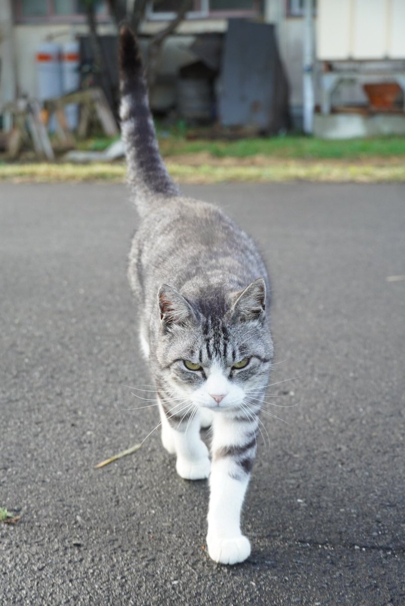 おはよーございます🐾 駅長宗太～