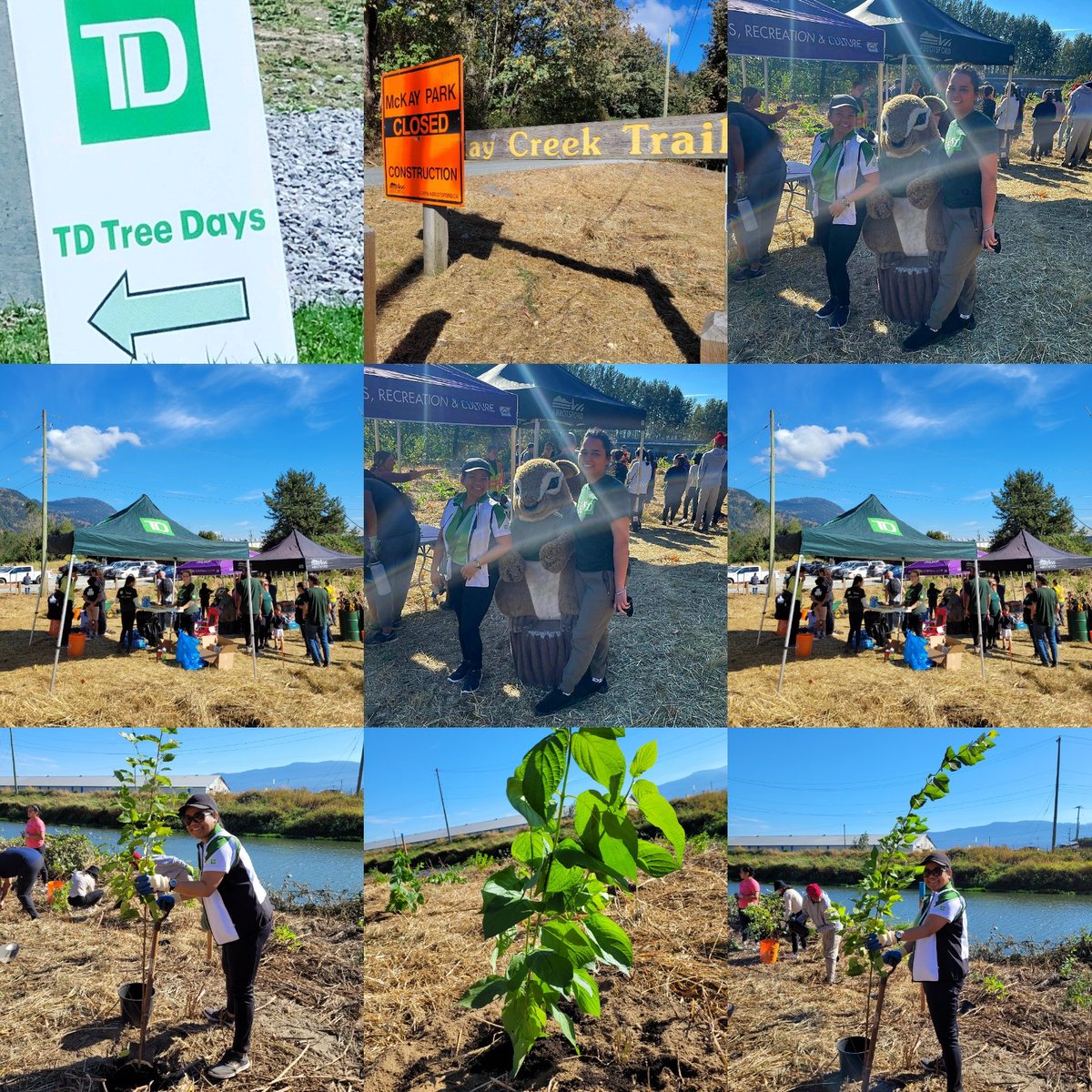 So thrilled to be able to spare few hours today at Mackay Creek Trail in #Abbotsfordbc together with Fellow TD employee and families planting trees, making a difference in our local community #tdtreeday #tdproud