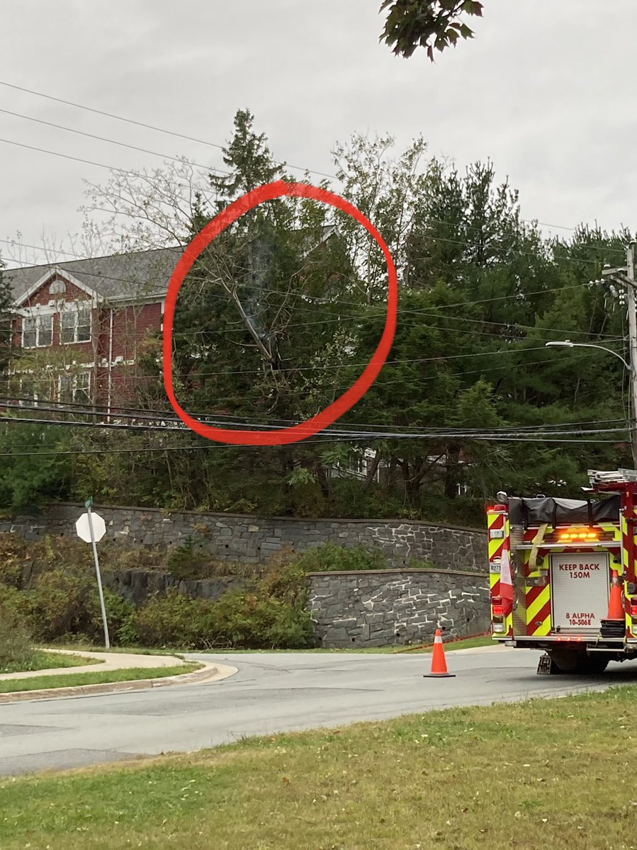 bethaneejc's tweet photo. We had power come on for a moment, but it went out after a second and right when we heard a loud bang. This tree that was on fire is in contact with the power line. Not sure if it was like this before or after the power came on. https://t.co/5aYvD7fkHA
