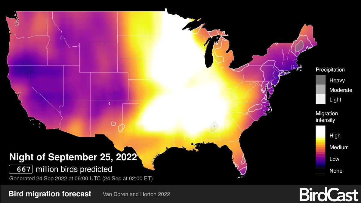 Tonight will be another Top 9 fall migration night. Please share our number (773-988-1867) so injured birds can get the help they need quickly. Turn off your home's exterior and interior lights after 11pm. Let's hope the birds pass over Chicago instead of being ensnared by it!