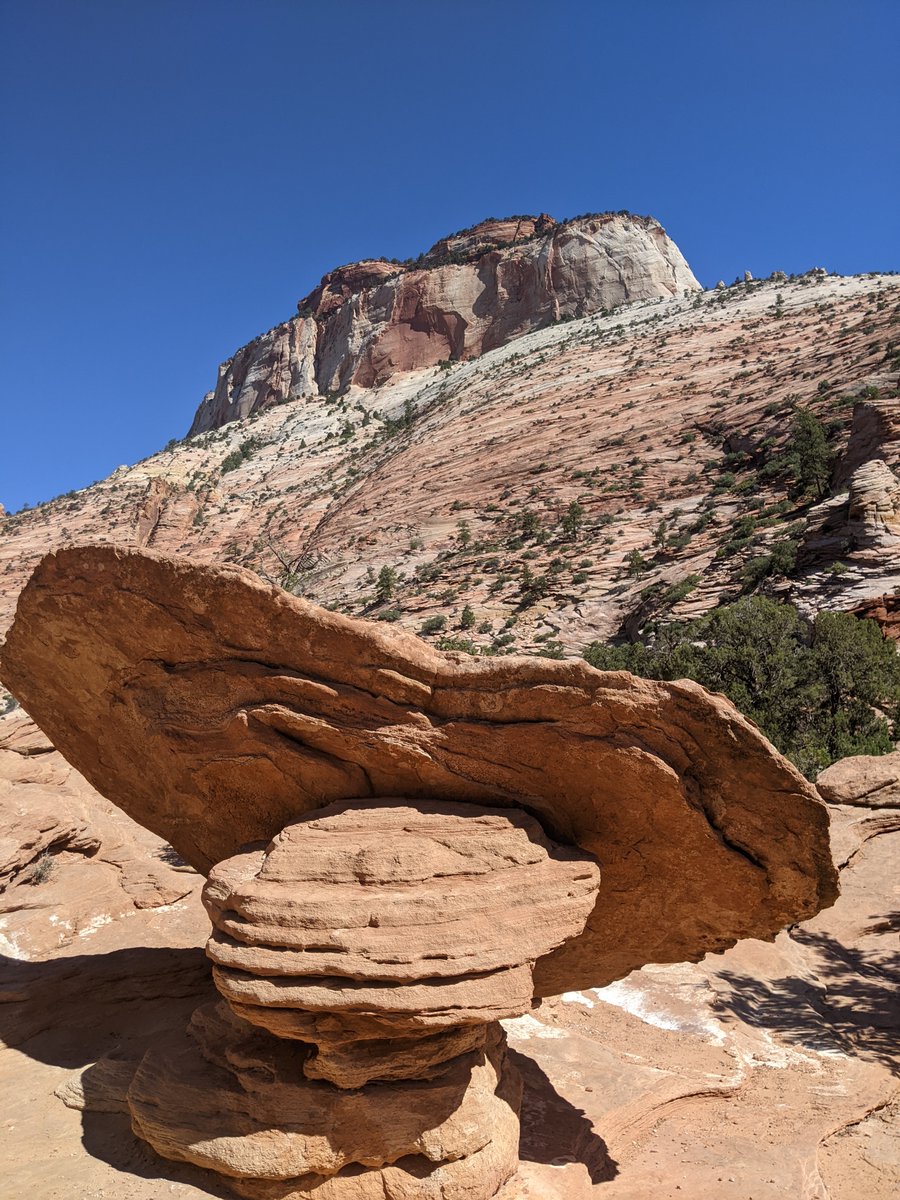 wanderlustmark's tweet photo. Happy #PublicLandsDay! We love our #PublicLands, and in case you didn't know....our Public Lands love us right back! #LookForTheSigns
#ZionNPS #CanyonOverlookTrail #NationalParkJunkie https://t.co/oZ7ysGvIKv