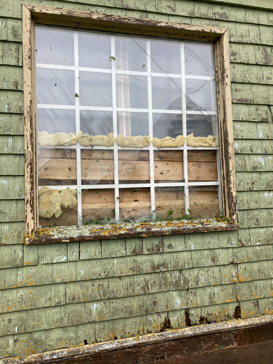 We’re on ok here at the farm. Only loss was 15 meat birds, some trees, a window (thanks to a flying kayak) and  a barn/goat paddock/fence. Pigs, goats, rabbits, laying hens, dogs and humans all safe!  #peistorm #HurricaneFiona