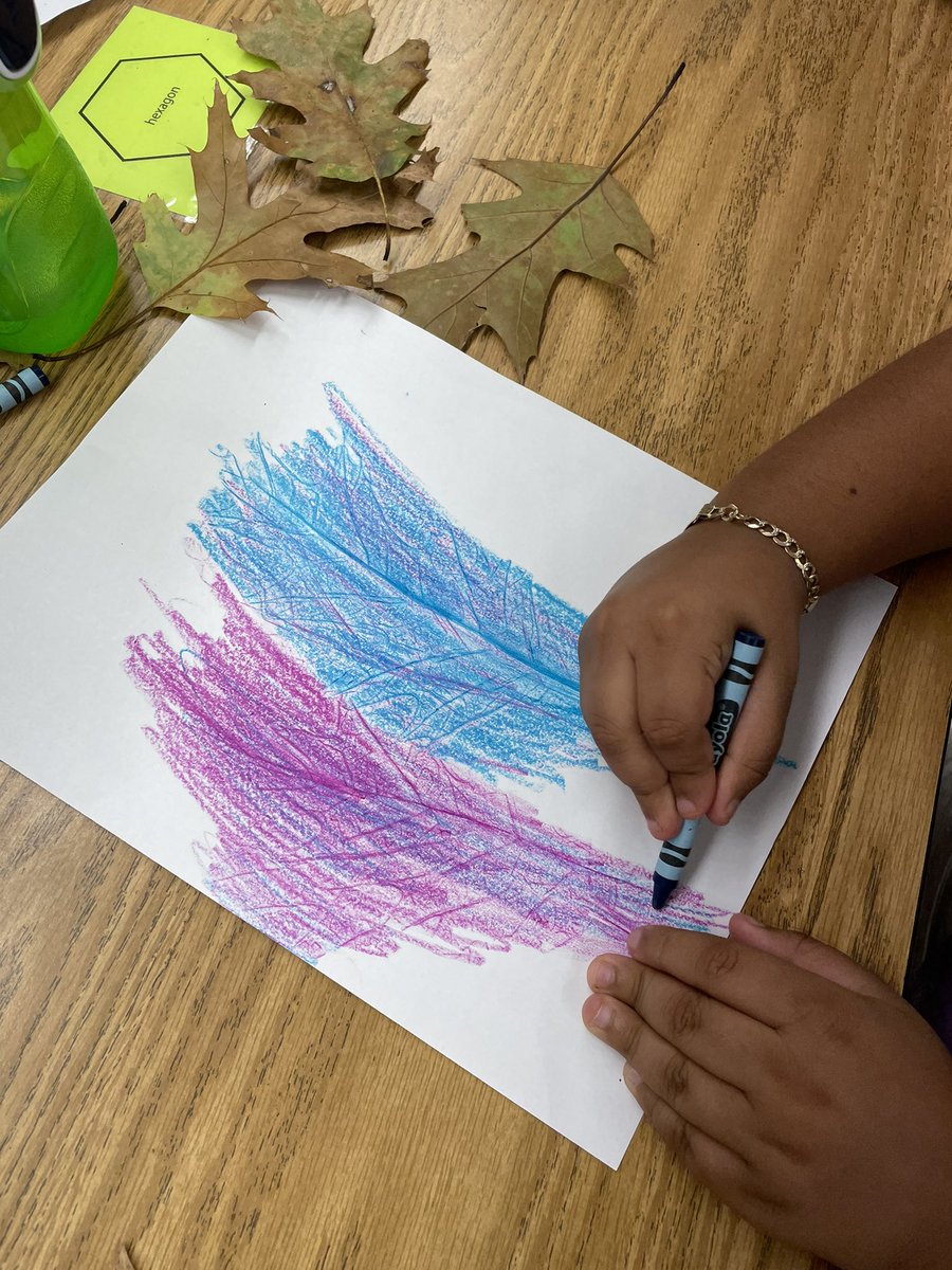 sharcivil's tweet photo. First day of fall leaf rubbing 🍁 @SlackwoodSchool @LTPS1 @MuziLearningLab https://t.co/f1PTdP3SLq