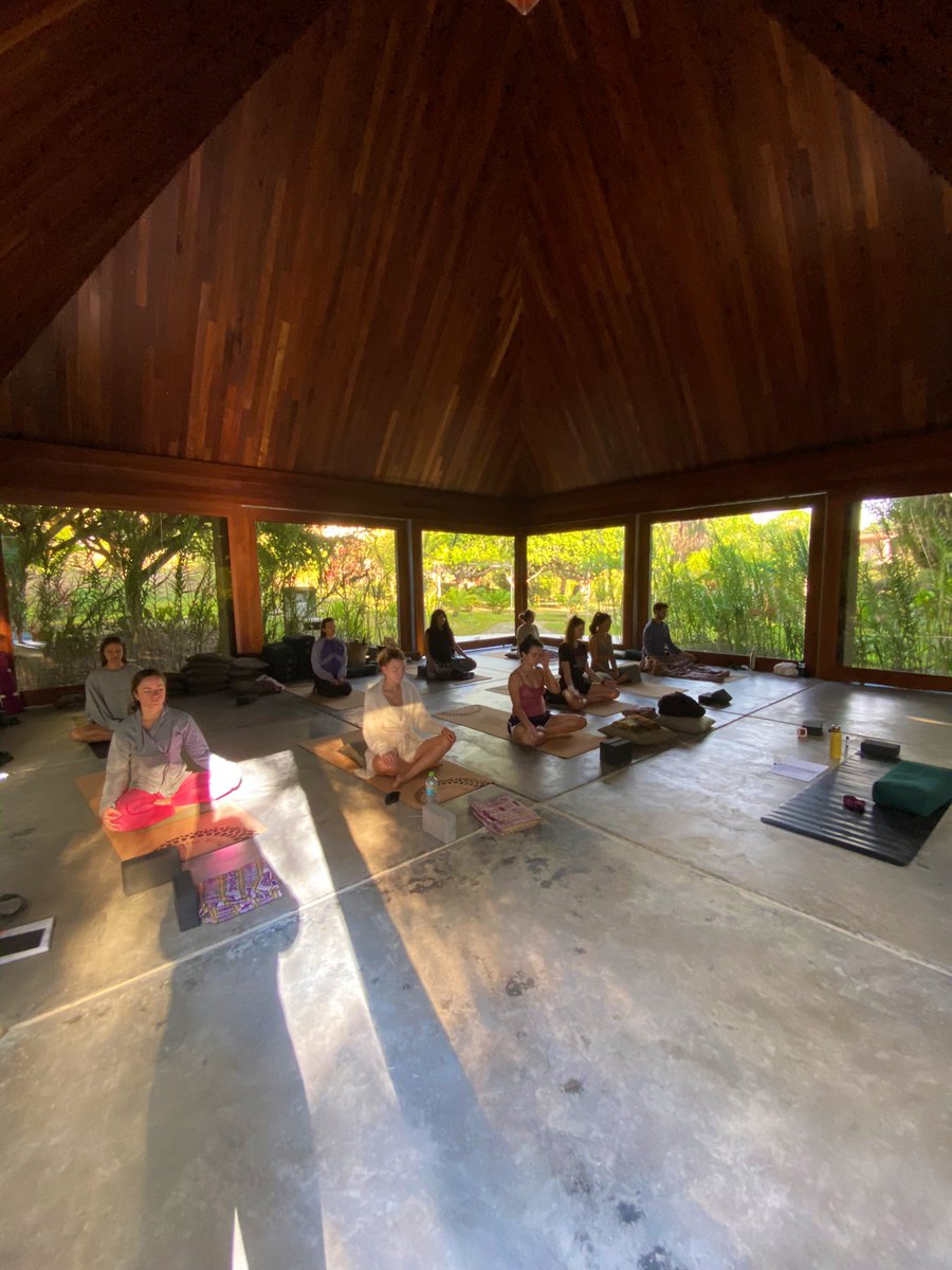 Emily Cordes tweet media