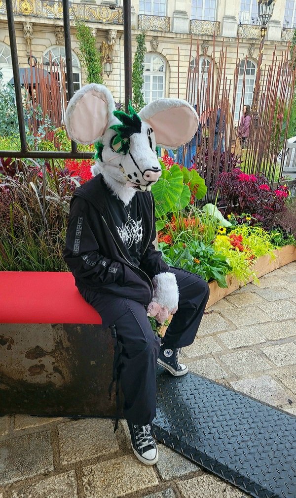 punky_the_rat's tweet photo. Furmeet (mais on a pas fait de photos de groupe 😭😭😭) https://t.co/8ikOrdLvI4