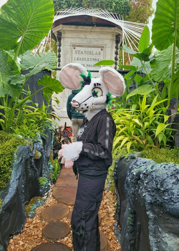 punky_the_rat's tweet photo. Furmeet (mais on a pas fait de photos de groupe 😭😭😭) https://t.co/8ikOrdLvI4