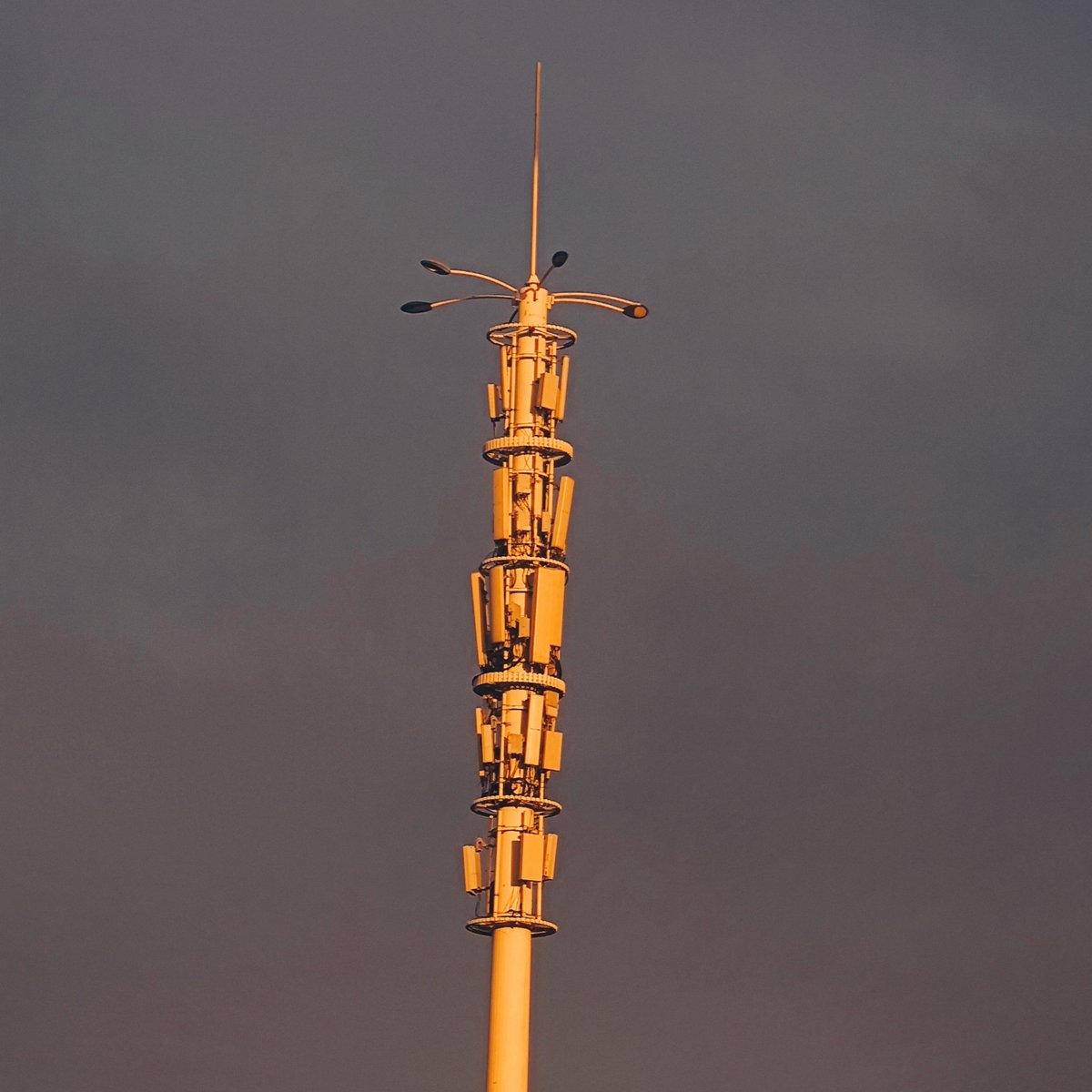 XufanGuo's tweet photo. fall in love with signal towers
#tower https://t.co/fpTd2hfu1q