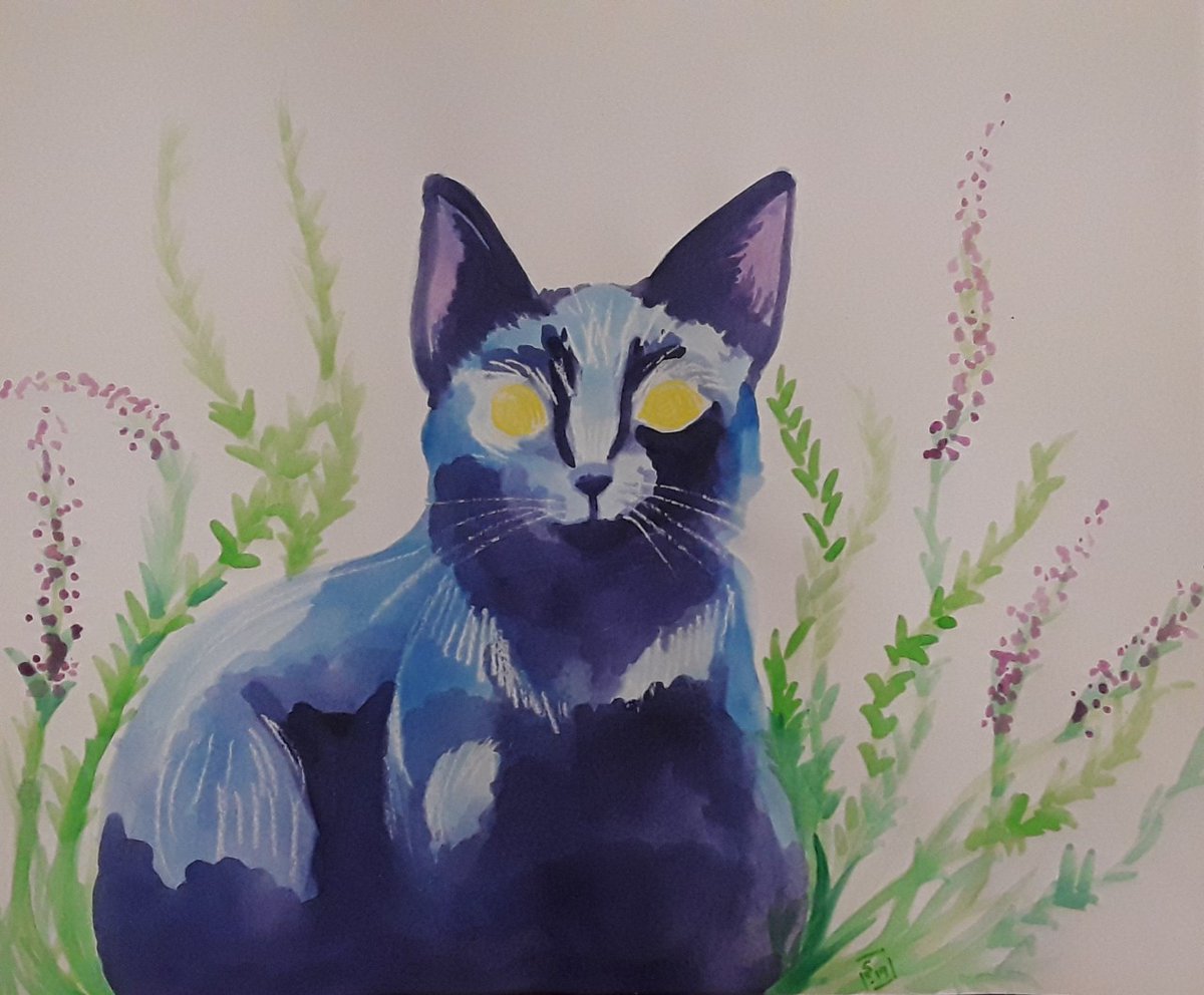 sombrashibe's tweet photo. #LatinxsCreate 
Hi I'm Erika! I'm an Afro Latina Illustrator 🇵🇷🎨 I love drawing fantastical and nostalgic critters. 
💼 https://t.co/dOVAeYcyhu https://t.co/ltt16h6WAJ