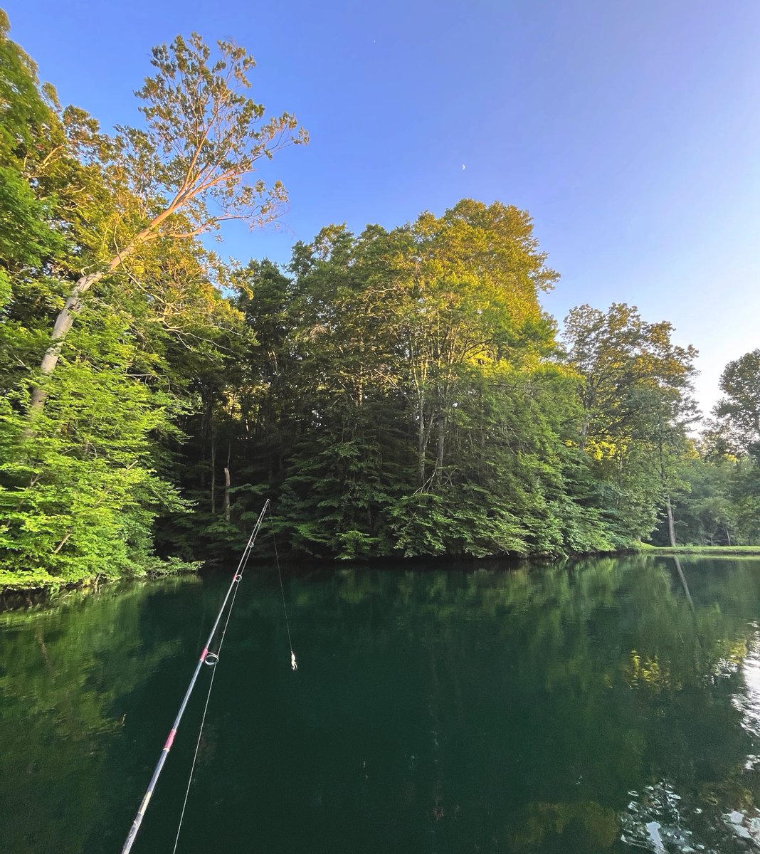 Nothing like calm water and blue skies🎣

#photography #fishing #blueskies