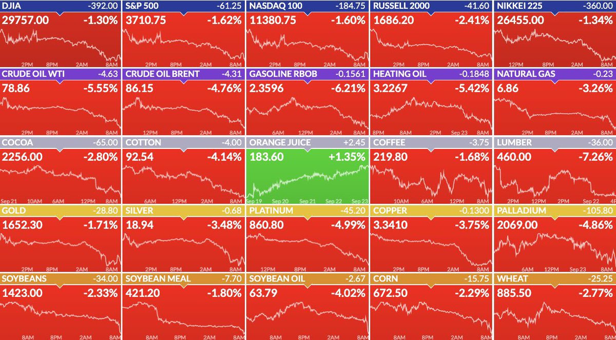 Gomu Gomu Gator tweet media