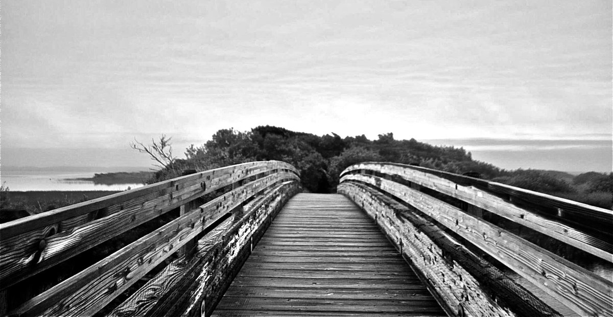 JudithRenaud's tweet photo. 'Over the Bridge' #blackandwhite #blackandwhitephotography #blackandwhitephoto #photo #photos #photographer #photographer #PhotoOfTheDay #Phots #photography https://t.co/b3HAHaYpxM