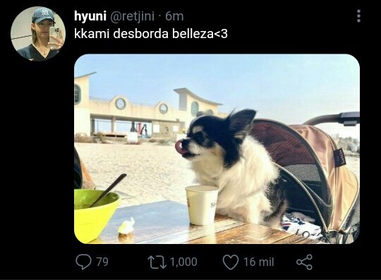 fulgescritos's tweet photo. hyunho au ; minjin au ━ BEST PET

Hyunjn presume a su adorable mascota en Twitter, hasta que Mnho ve su publicación y responde con una foto de su lindo gato Soonie. https://t.co/jOqB2xowGo