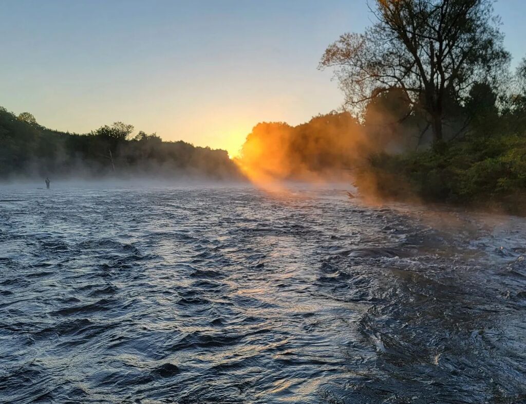PaulsGuide's tweet photo. Gorgeous morning out on the river from the moon to the sunrise. Too bad the fish didn't cooperate today.

#dsrguide #paulsguideservice #outdoors #salmonriver https://t.co/v0lGgEfKi2