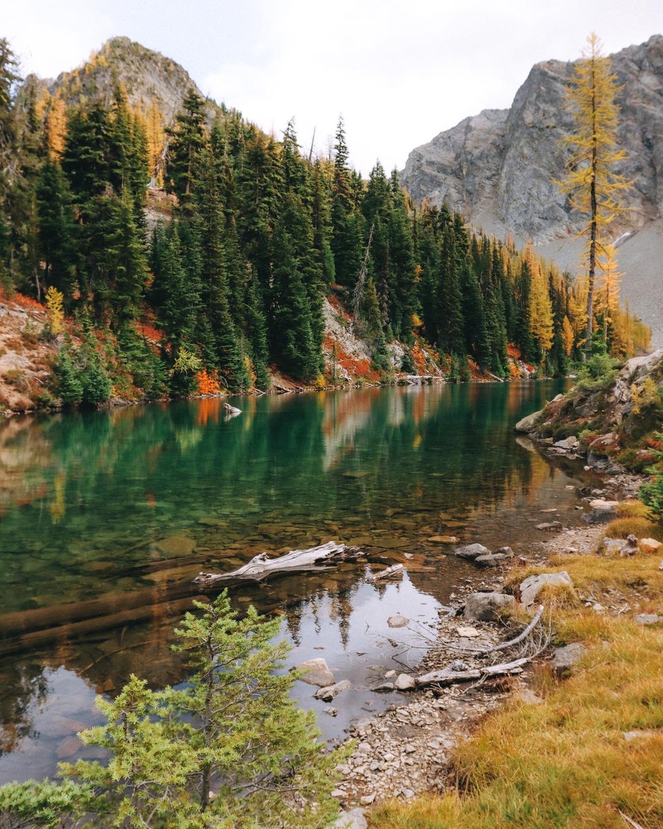 voyagerben_'s tweet photo. Fall is simply just the best season 🍂 https://t.co/xD3MkpqBRu