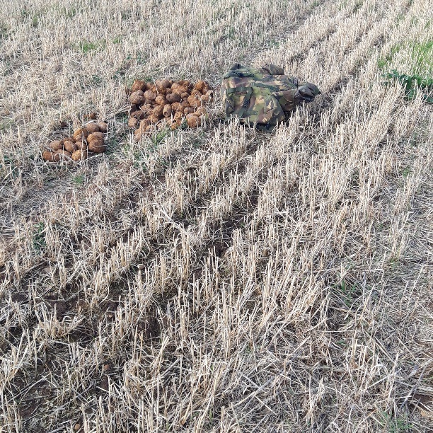 ClevelandPolice's tweet photo. Cleveland Police are advising people to stay away from the area near the field next to Brough Farm/Coastguard Cottages, #SaltburnbytheSea as a controlled explosion of hand grenades takes place at 7pm until 7.45pm this evening (24 September 2022). @TheNorthernEcho @BBCTees https://t.co/T402ishgka