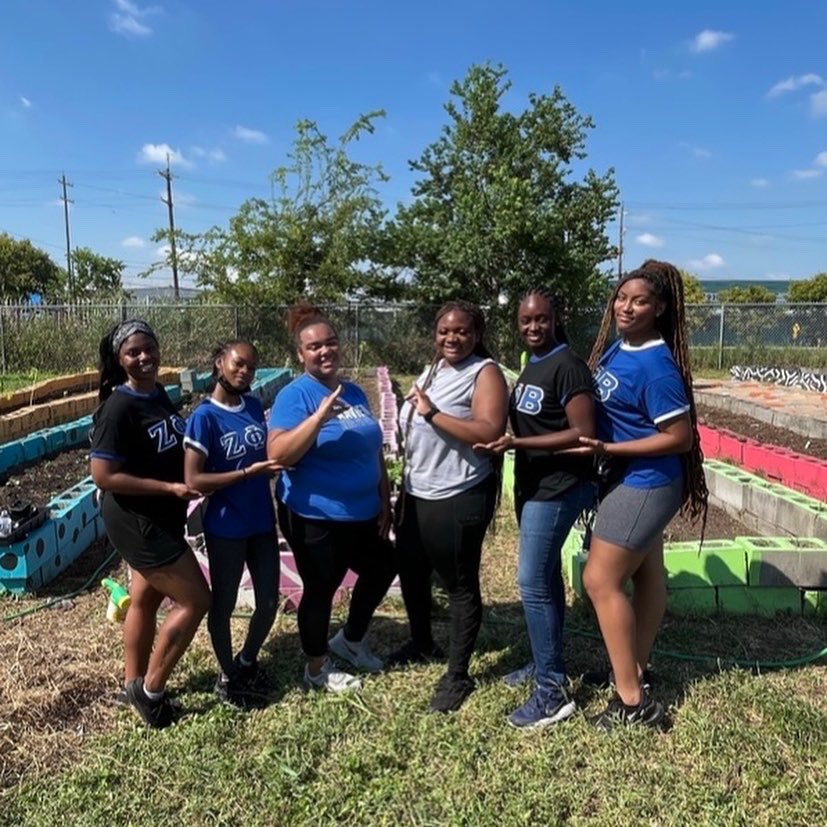 BetaDelta_Xula's tweet photo. Our sorors put in hard work at Gumbo Garden today. Helping our community is what we strive for. 🤍 #community #service #xula #zetaphibeta https://t.co/GD0C70PZOE