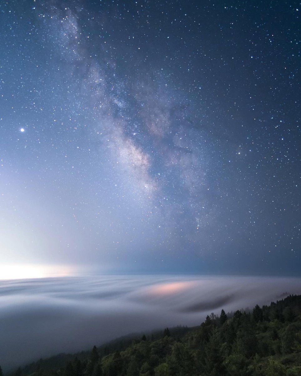 Blue hour 🤝 fog