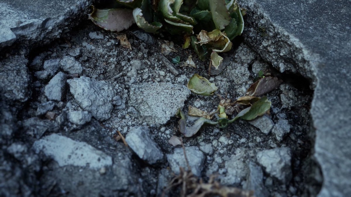 ImKcat's tweet photo. Weekly work - Roof plant

ArtStation: https://t.co/L1cvTiRQ98

#UnrealEngine https://t.co/nBtAdH53Mr