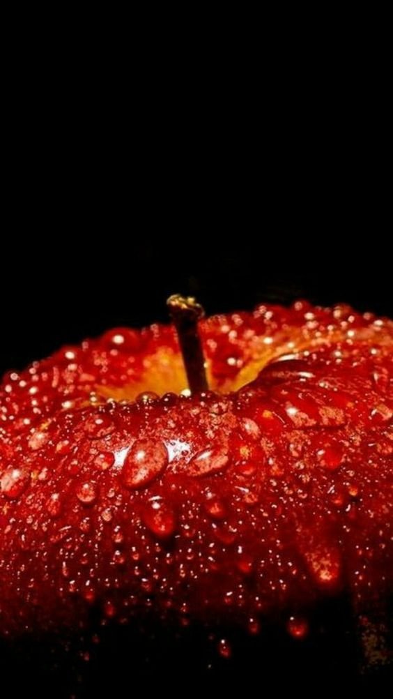 krowertak's tweet photo. drops on an apple https://t.co/5scrtApMj7