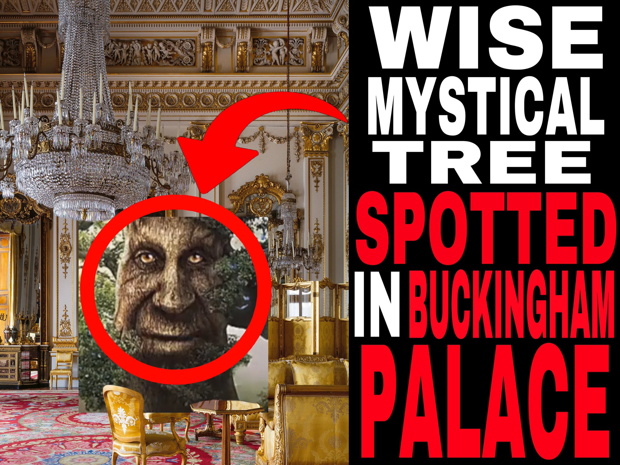 pickle eater 47 on X: WHAT ARE YOU DOING THERE WISE MYSTICAL TREE???   / X