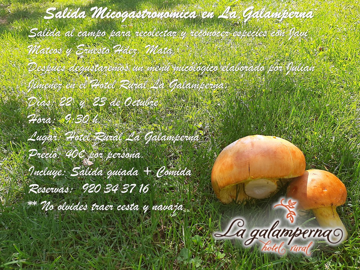 Reserva ya.. limitado. #jornadasmicologicas.