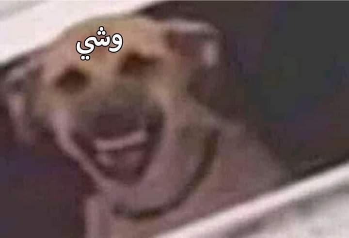 egymeme11's tweet photo. موقف جد و الناس متعصبة .. https://t.co/Z1IPiTdEZu
