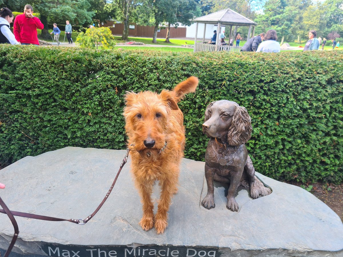 wesley_terrier's tweet photo. Dont know what hes looking at, spoke to him, never spoke back , very rude 🇮🇪🐕#max#keswick https://t.co/MBWv0YDLSE