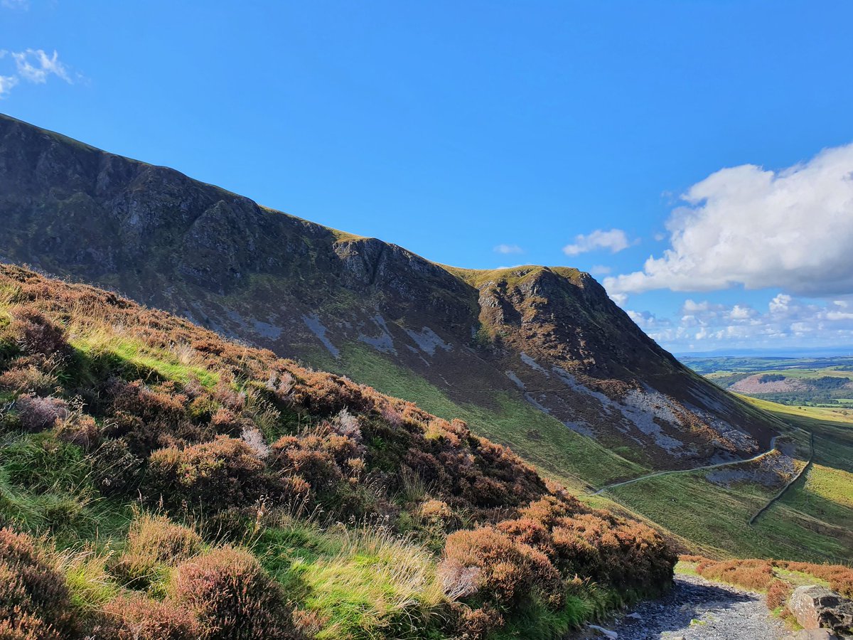 garrypickles's tweet photo. Percy did his first Lakeland summits today. 6 months old did really well. 4 Wainwright summits. Now on 170 of 214 Wainwrights. Completed all the Northern fells today. #Skiddaw #Skiddawlittleman #bakestall #lonscalefell #wainwtightbagging #Lakedistrict https://t.co/XIqMDM9yTv
