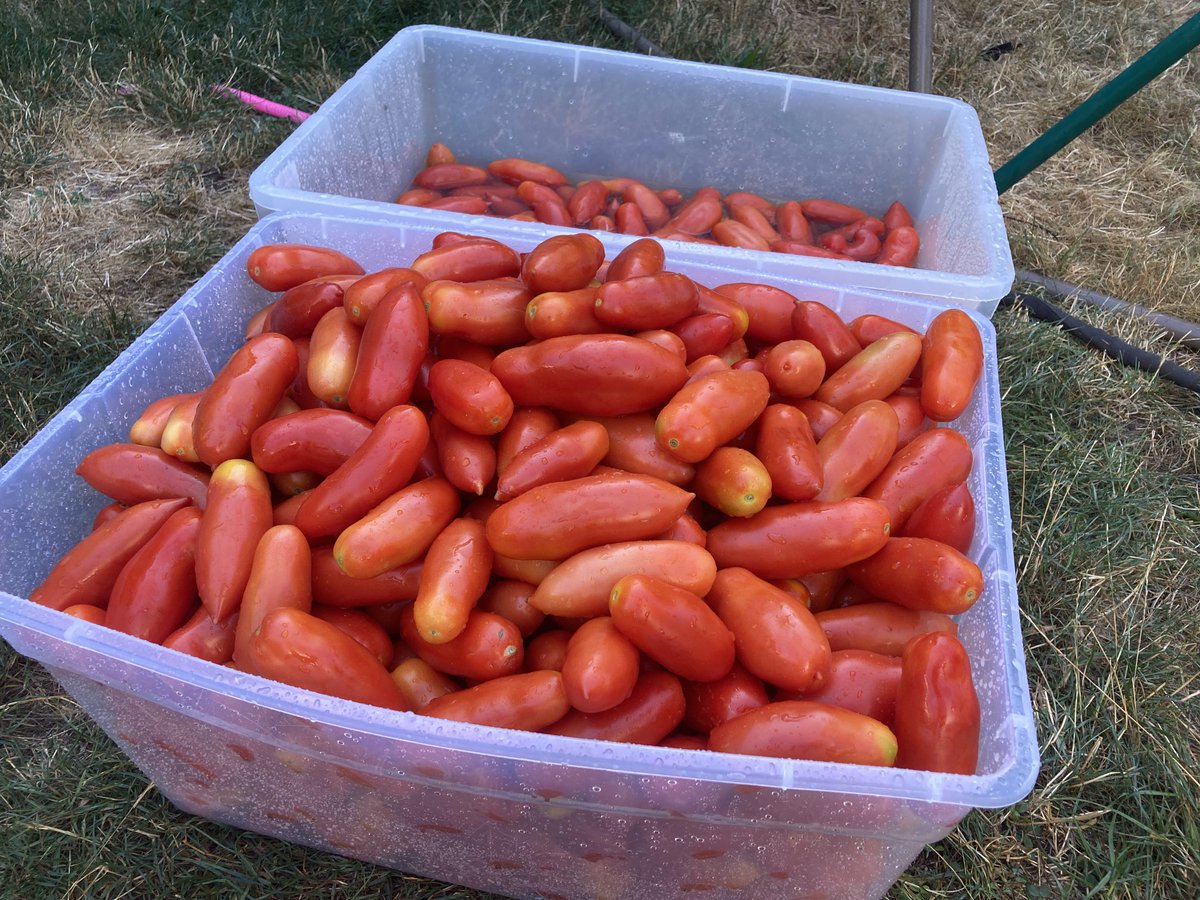 Dave Miller tweet media