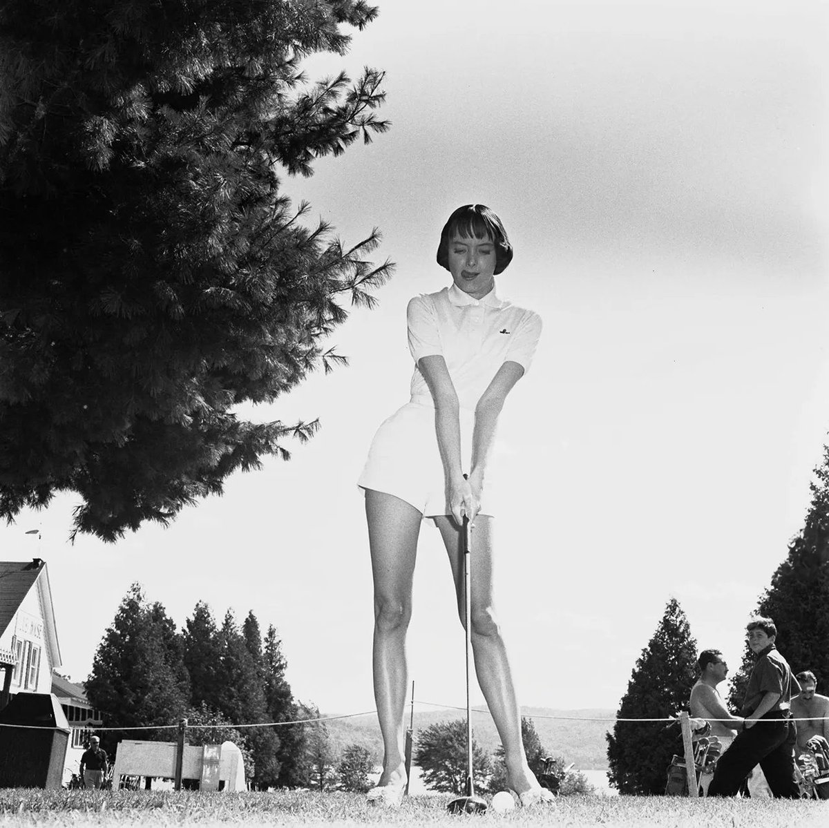 Sluts and Guts on Twitter: "Carolyn Jones (1956) #classicbeauties"