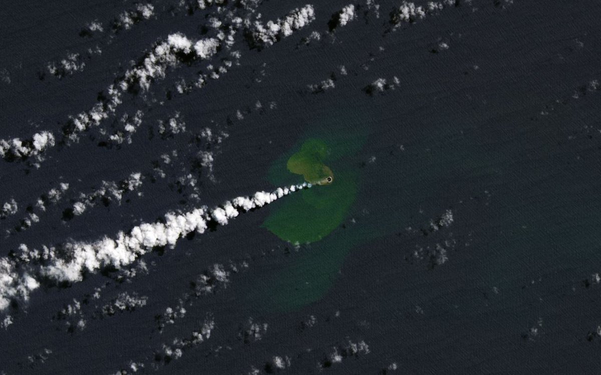 3CatInfo tweet media