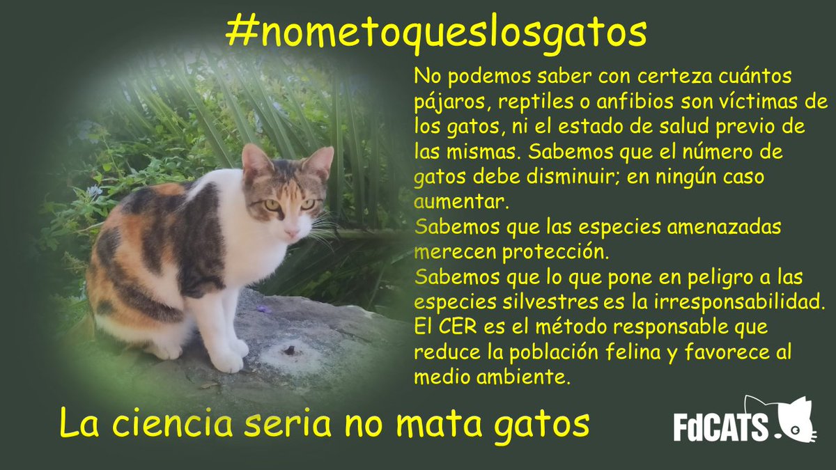FdCATS's tweet photo. #Nometoqueslosgatos https://t.co/GseDUTWJ5X