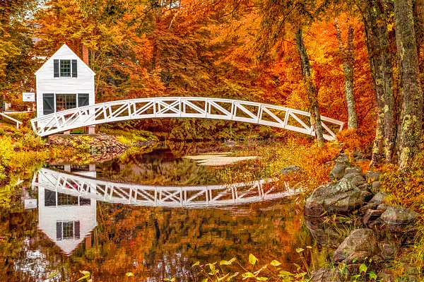 KayBrewer123's tweet photo. New artwork for sale! - "Autumn at the Somesville Bridge, Mount Desert, Maine" - https://t.co/LfdnBHAAbc @fineartamerica https://t.co/qLn5JruVcF