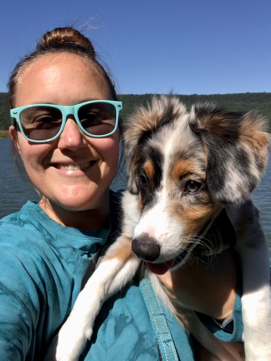 Trixie’s first Leaser Lake adventure! #LeaserLake #Aussie #AustralianShepherd #AdventuresofTrixieandFinn