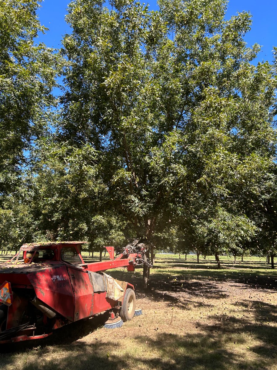The Orchard Keeper tweet media