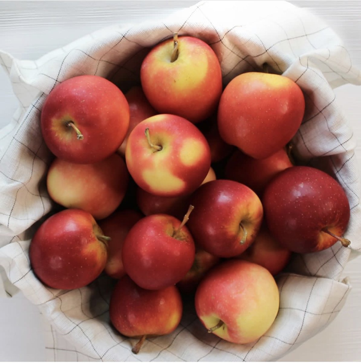 RockitAppleUSA's tweet photo. We believe in snacking, and Rockitโข apples are the perfect miniature snack to enjoy at home or take on the go! Fill a bowl with Rockitโข apples and see how long they last in your house. ๐ ๐ ๐ #RockitApple #TinyApple #RockitEveryDay https://t.co/c6cUH2VAhD