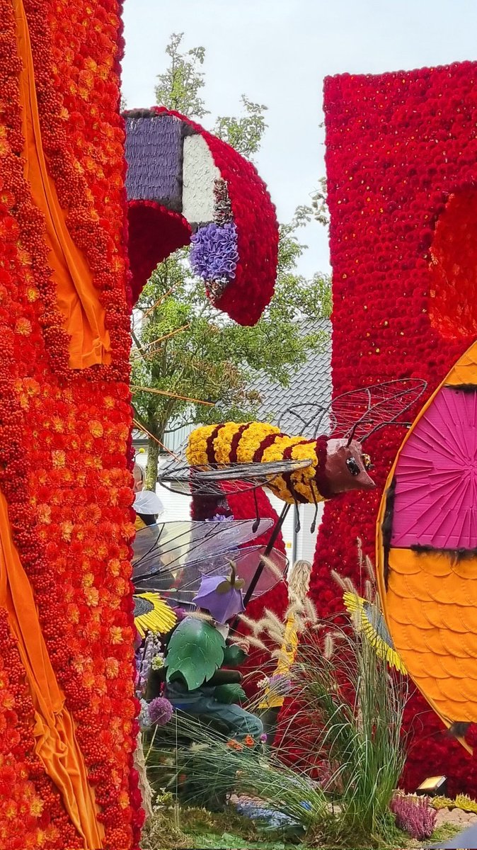 Kleurrijke #rodermarktoptocht. Prachtige #praalwagens reden vandaag door #Roden. Waar een #Drents dorp groot in kan zijn. De #Rodermarkt is nu echt begonnen.