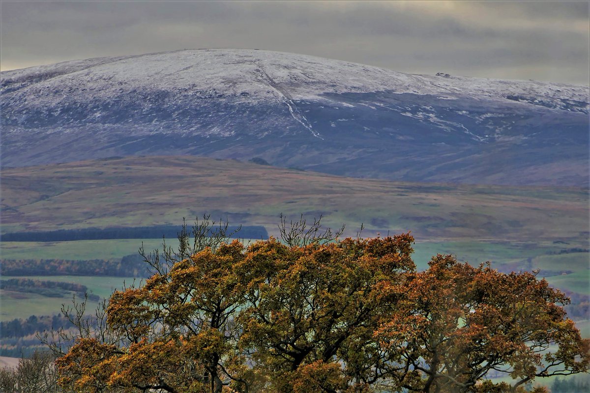 blamhof's tweet photo. Autumn in Northumberland https://t.co/bGjyofuR3l