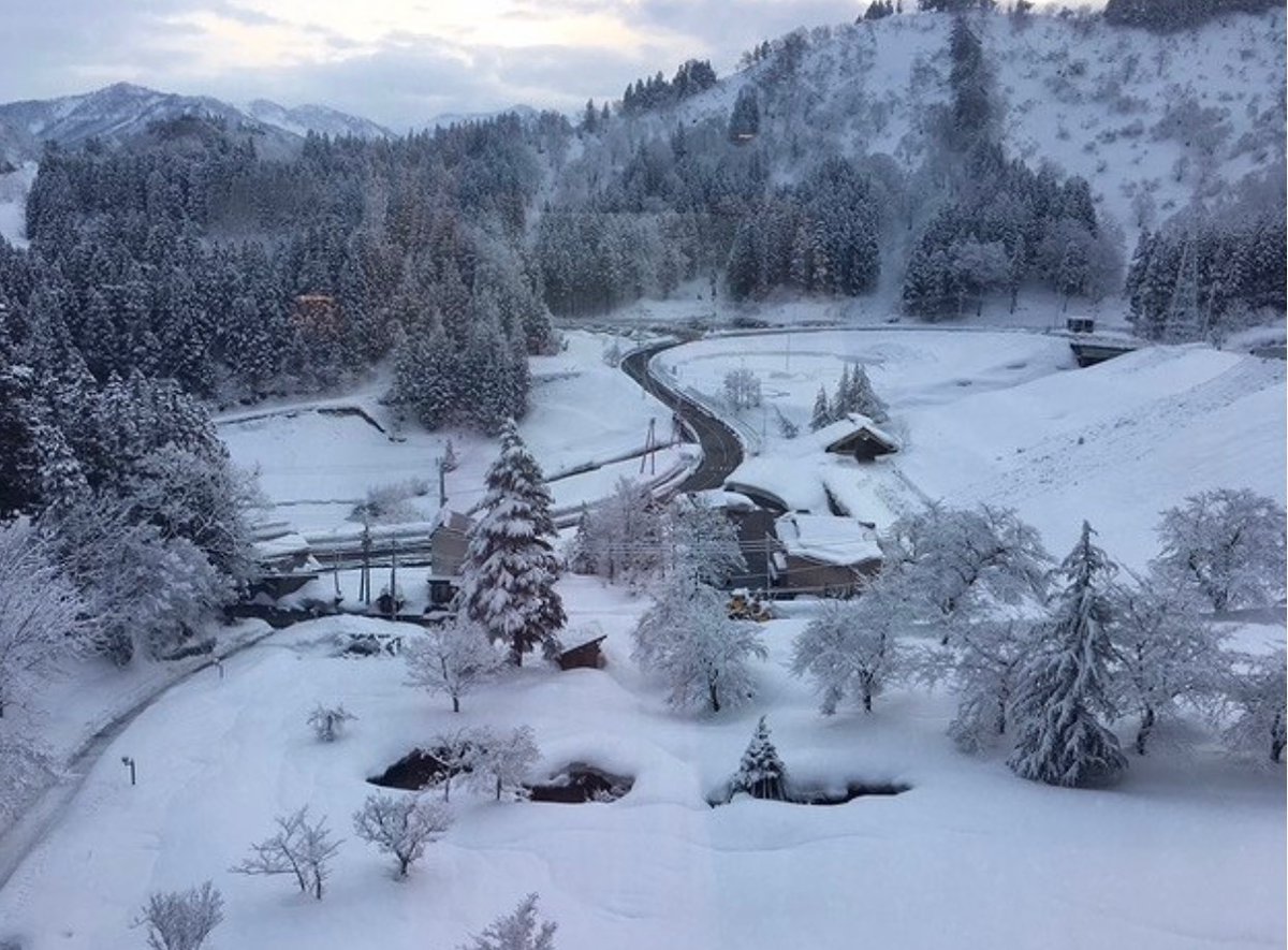JapanTerbit's tweet photo. Akan sangat bagus jika tidak ada batasan pada perjalanan individu ke Jepang pada musim dingin ini ketika salju mulai turun sekitar bulan Desember!  Kami berharap anda bisa dapat melihat salju⛄️

#yuzawa #salju #tahun ini #jepang https://t.co/o7hzmYrTsC