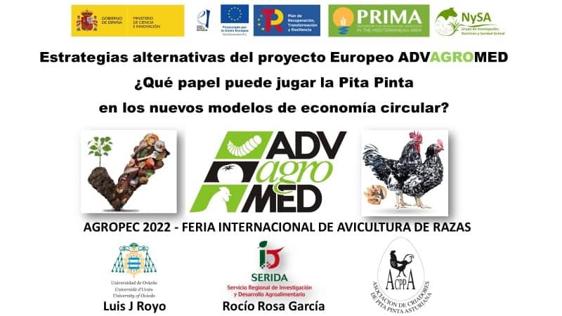 SeridaAst's tweet photo. Esta mañana investigadores del #SERIDA estuvieron presentes en la #28FIAR, #AGROPEC2022, presentando al sector avícola el proyecto europeo @advagromed22,  cuyos ensayos se están haciendo con #Pitapinta  🐓🐓
💰 @PrimaProgram @AgEInves  
  @NySA_SERIDA @unito #Acppa #Fesacocur https://t.co/rGR88YSgdI