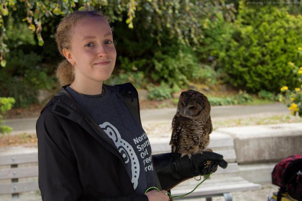 It’s day 3 of #AFCFEstival2022 at beautiful @VanDusen Botanical Garden. Festival is featuring AFC's nature-themed international art exhibit supporting conservation. 
Artistsforcosnervation.org/festival
 
#AFCFestival2022 #wildlifeart #wildlifeconservatio