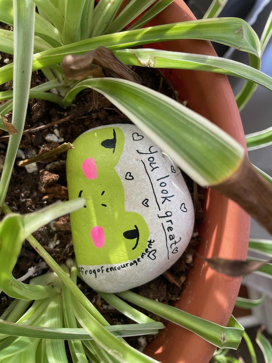 getzlerl's tweet photo. @FrogOfEncurgmnt 
Found in potted plant
Ashland, OH https://t.co/Qk24bviLHy